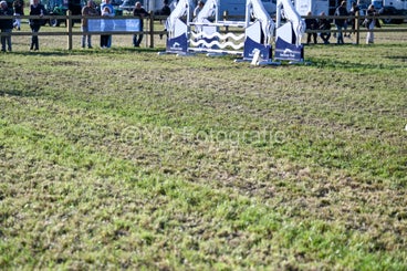 20241006-dsc_4195-standard-h0rif6.jpg