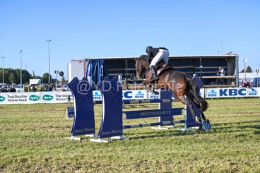 20241006-dsc_4331-standard-uvlw8l.jpg