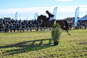 20241006-dsc_4371-standard-primrv.jpg