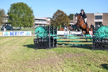20241006-dsc_4380-standard-bbtxiv.jpg
