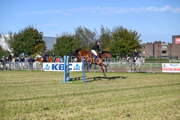 20241006-dsc_4399-standard-xbc1qb.jpg