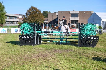 20241006-dsc_4417-standard-b2mcje.jpg
