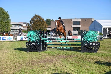 20241006-dsc_4460-standard-w80hw0.jpg