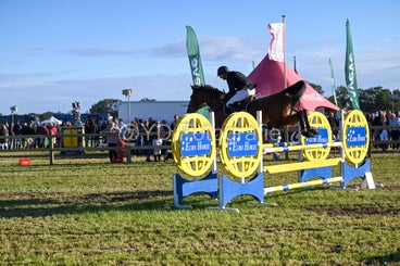 20241006-dsc_4511-standard-srznwb.jpg