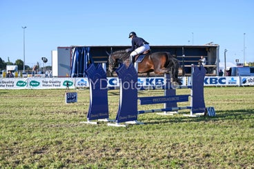 20241006-dsc_4565-standard-ezd4bd.jpg
