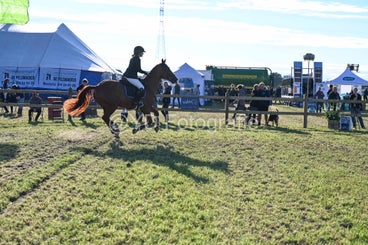 20241006-dsc_4624-standard-8lgpv2.jpg