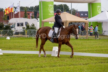 20241006-dsc_5374-standard.jpg