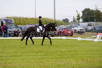20241006-dsc_5382-standard.jpg