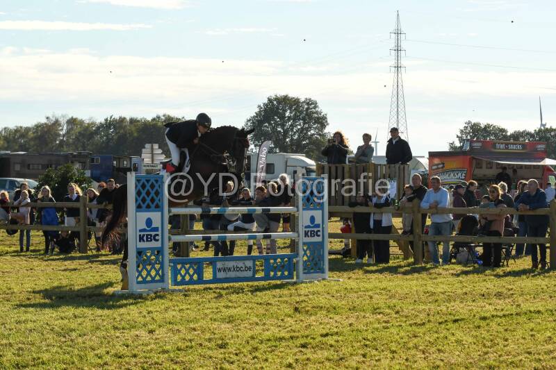 20241006-dsc_6226-standard-lrghkn.jpg