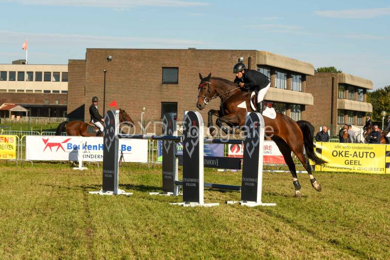 20241006-dsc_6230-standard-qh1sh9.jpg