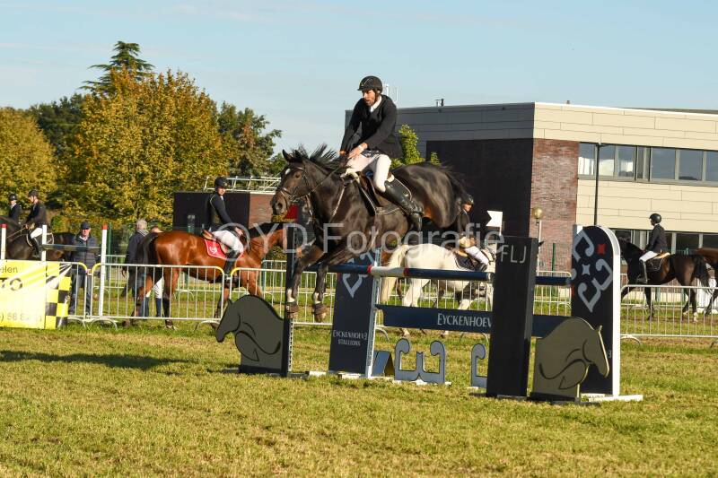 20241006-dsc_6254-standard-tvk2bs.jpg