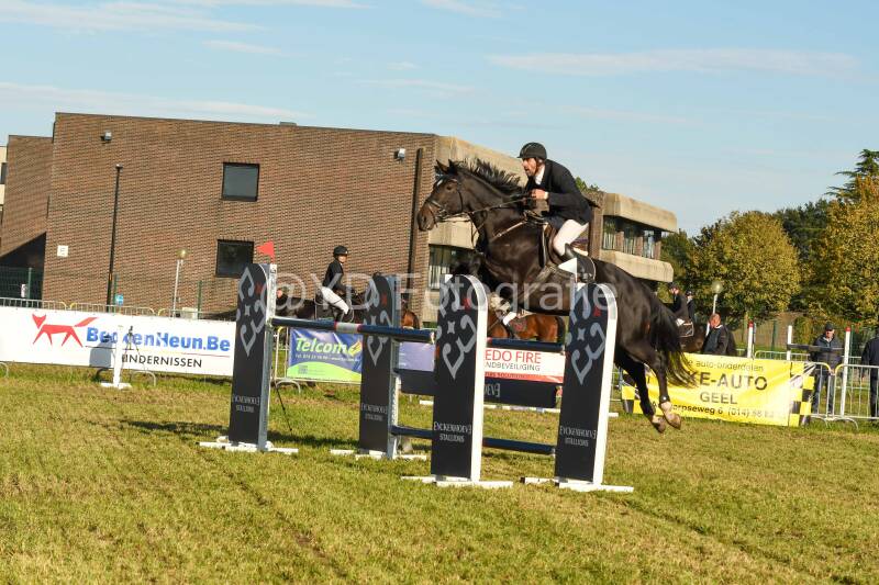 20241006-dsc_6257-standard-hrg4h4.jpg