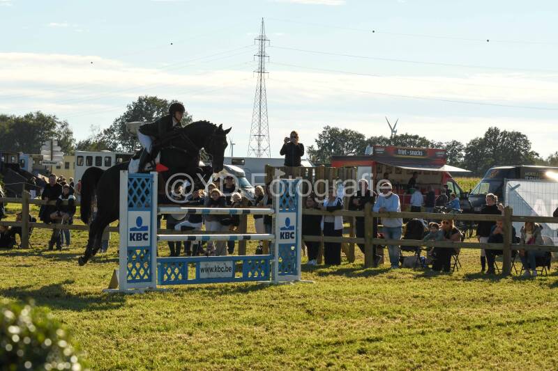 20241006-dsc_6273-standard-ugmh3x.jpg