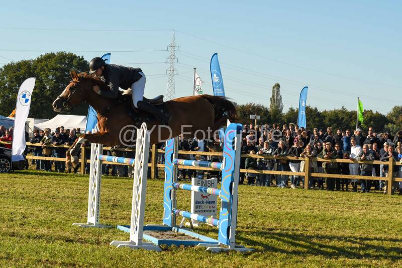 20241006-dsc_6310-standard-olihdf.jpg