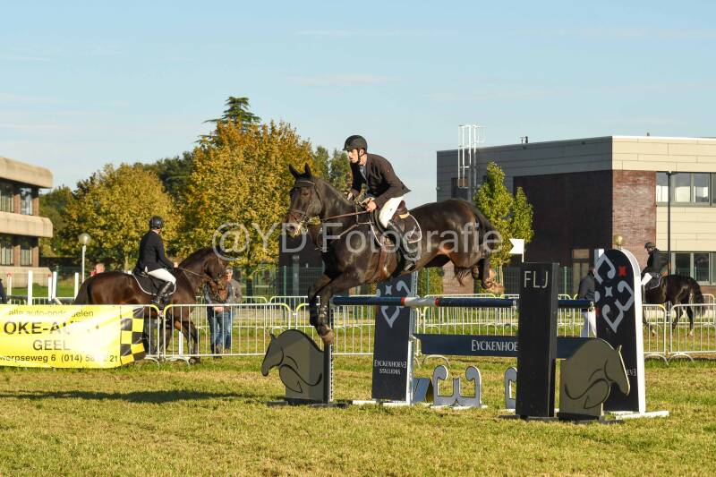 20241006-dsc_6416-standard-dy3cfx.jpg