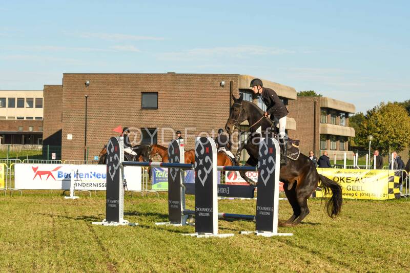 20241006-dsc_6417-standard-akv7lx.jpg