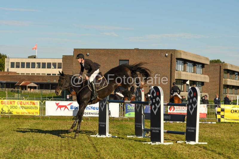 20241006-dsc_6421-standard-cebmco.jpg