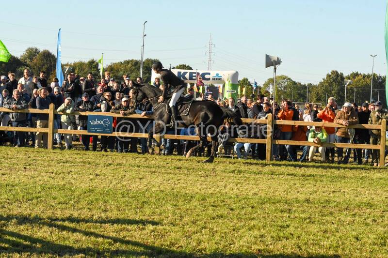 20241006-dsc_6423-standard-m7c89v.jpg