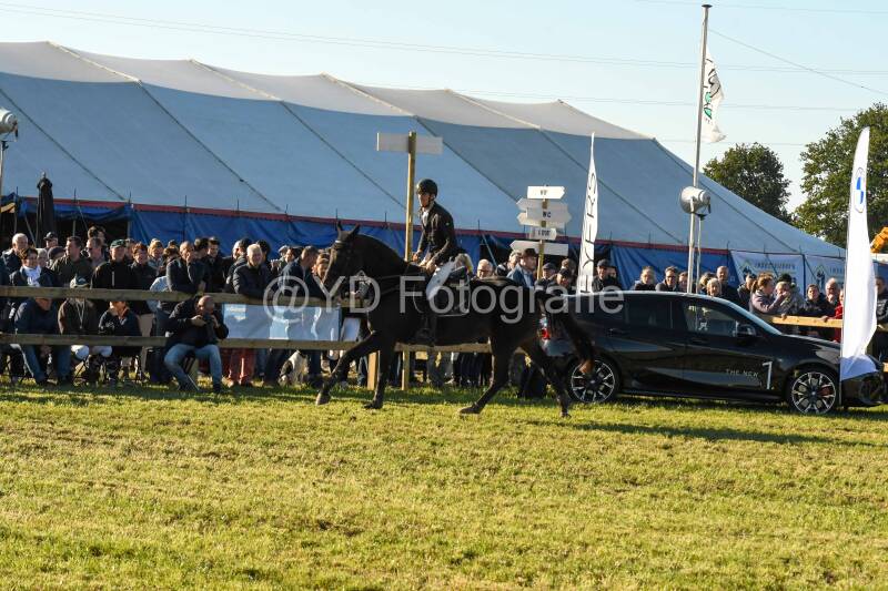 20241006-dsc_6430-standard-klrf1l.jpg