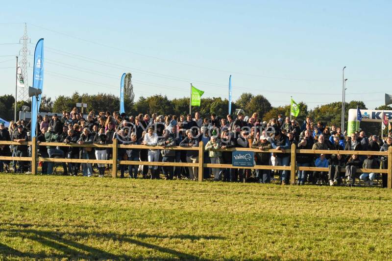 20241006-dsc_6475-standard-aatvwa.jpg