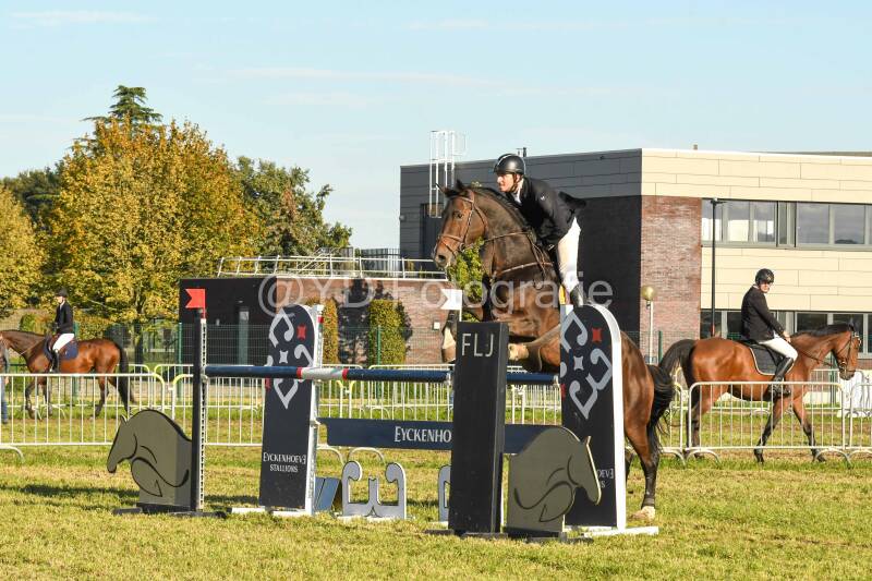 20241006-dsc_6494-standard-rastn0.jpg