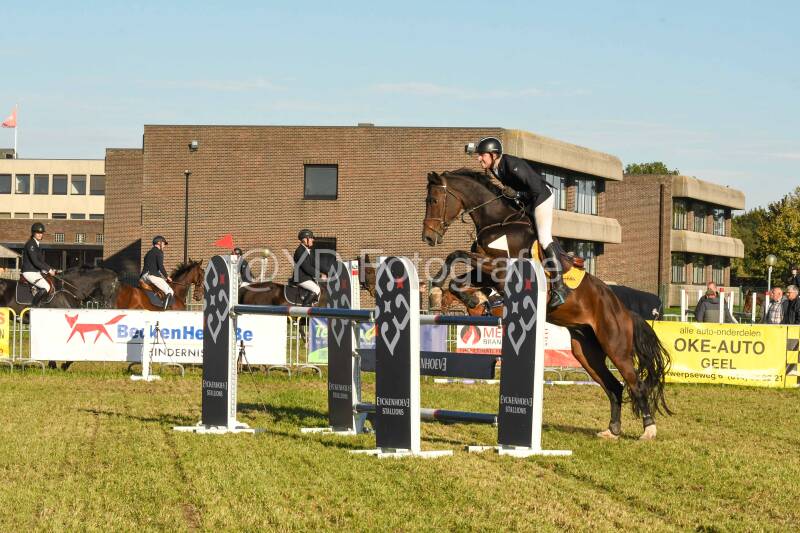 20241006-dsc_6498-standard-sj1xfo.jpg