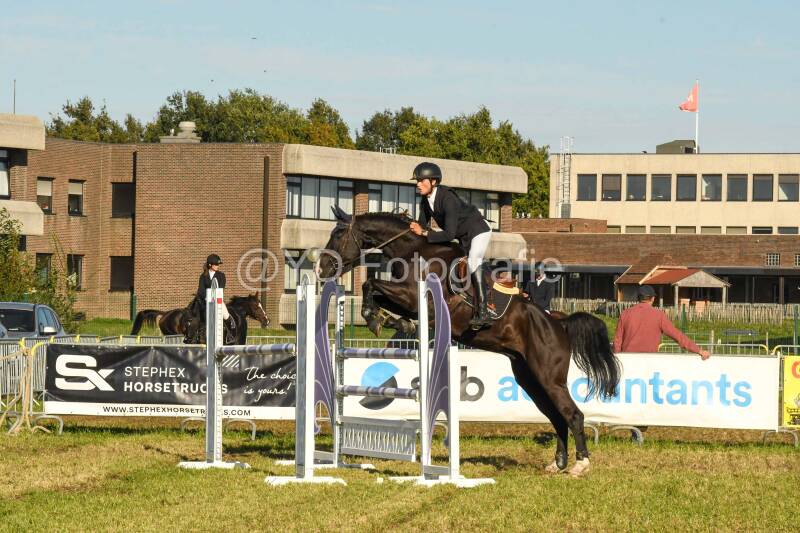 20241006-dsc_6527-standard.jpg