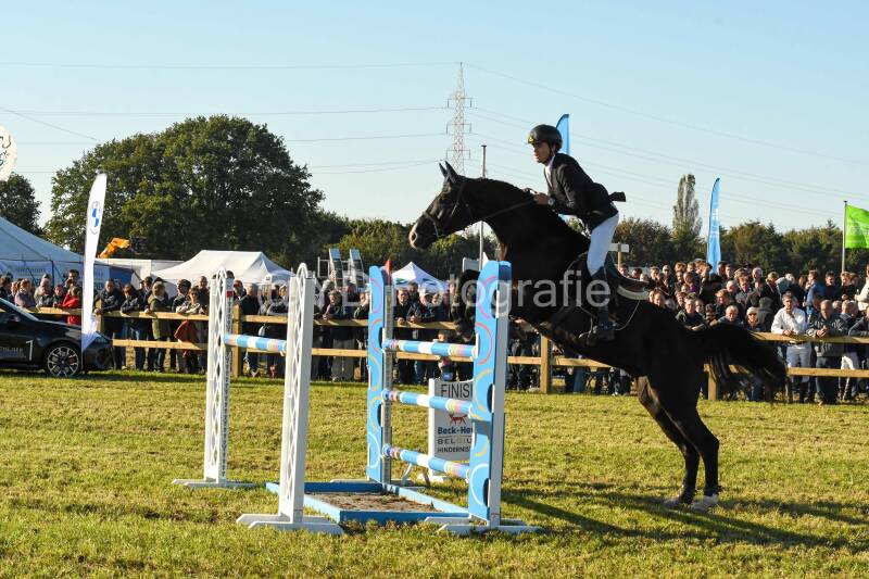 20241006-dsc_6532-standard.jpg