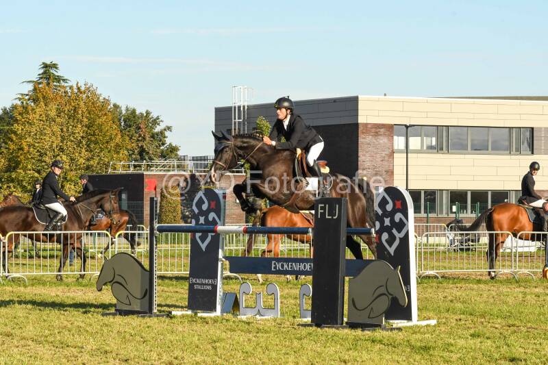20241006-dsc_6538-standard.jpg