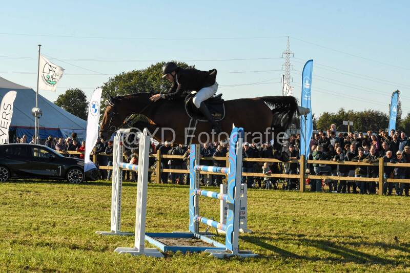 20241006-dsc_6555-standard.jpg
