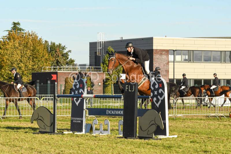 20241006-dsc_6562-standard.jpg