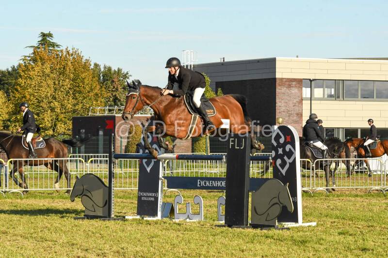20241006-dsc_6564-standard.jpg