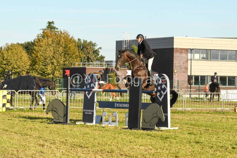 20241006-dsc_6586-standard.jpg
