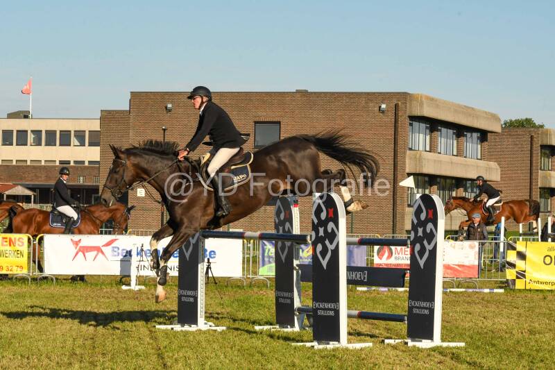 20241006-dsc_6593-standard.jpg