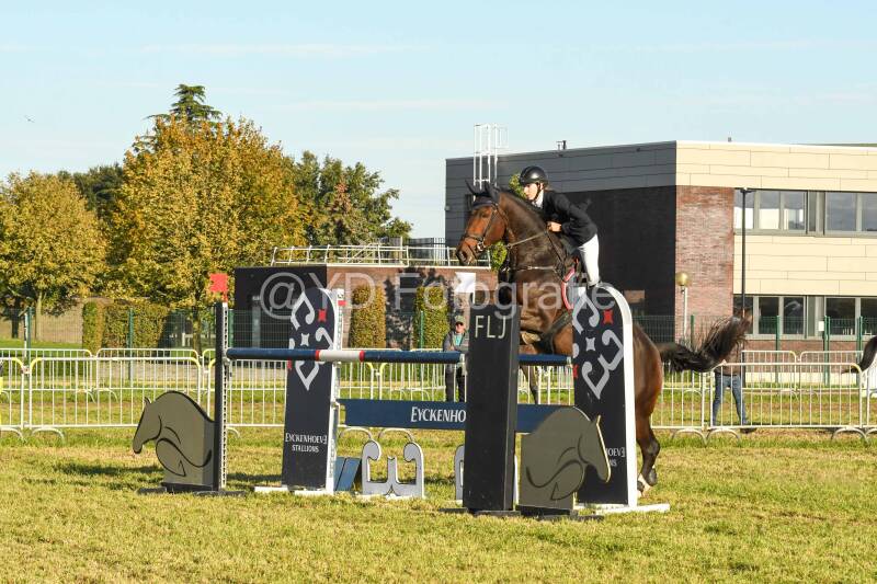 20241006-dsc_6608-standard.jpg