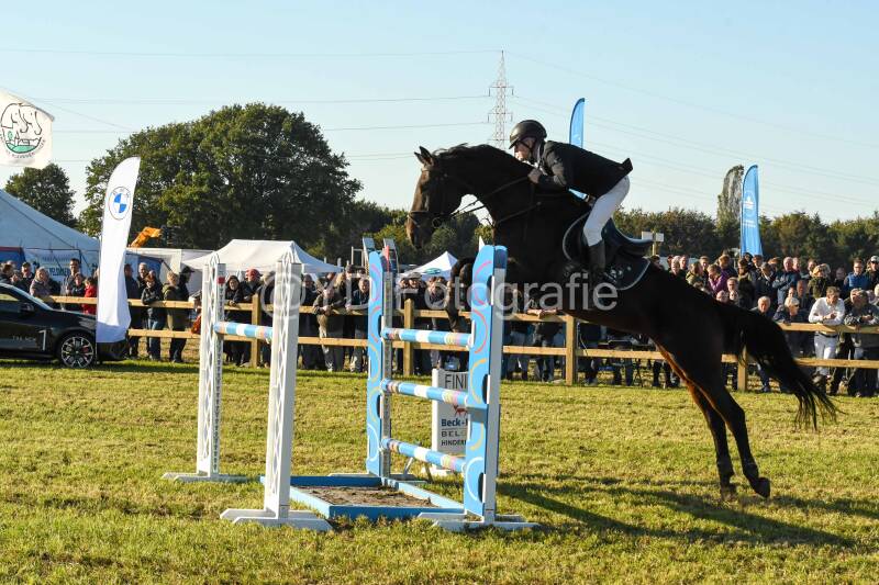 20241006-dsc_6630-standard.jpg
