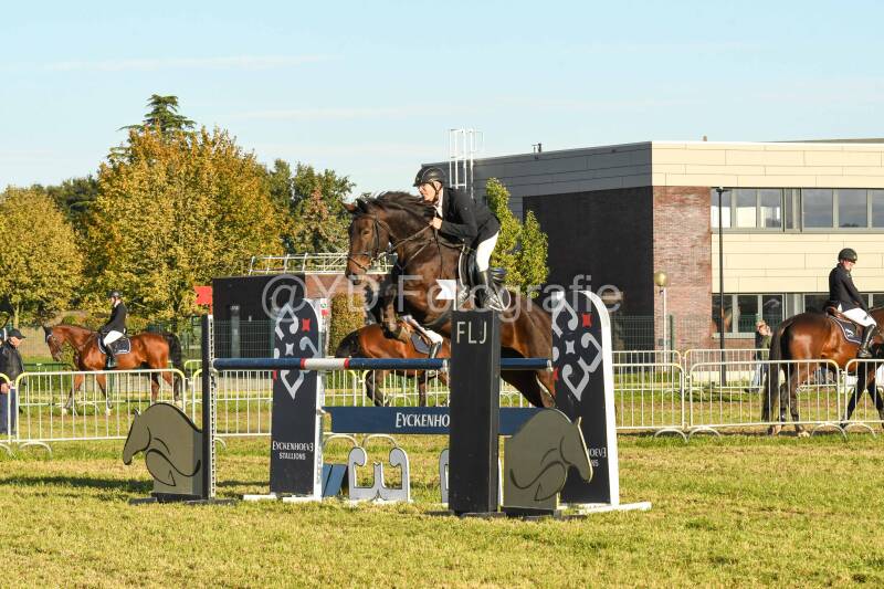 20241006-dsc_6639-standard.jpg