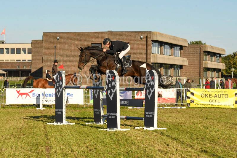 20241006-dsc_6643-standard.jpg