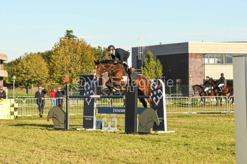 20241006-dsc_6711-standard.jpg