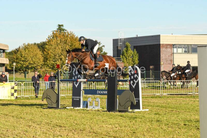 20241006-dsc_6712-standard.jpg