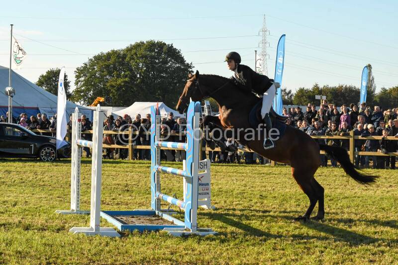 20241006-dsc_6727-standard.jpg
