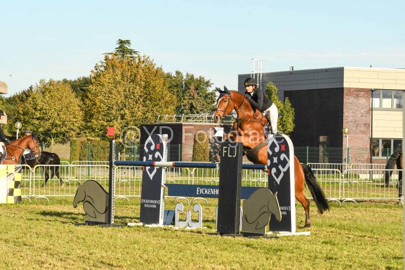 20241006-dsc_6749-standard.jpg
