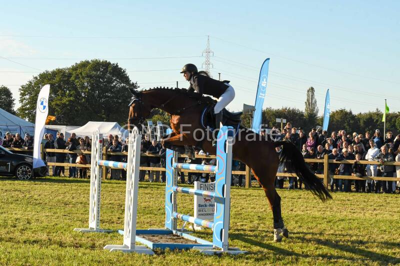 20241006-dsc_6763-standard.jpg