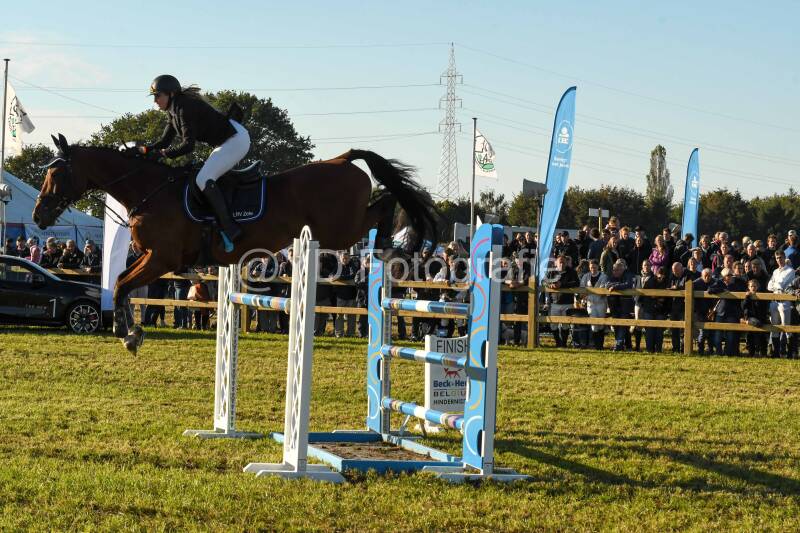 20241006-dsc_6765-standard.jpg