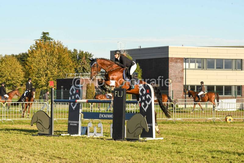 20241006-dsc_6766-standard.jpg