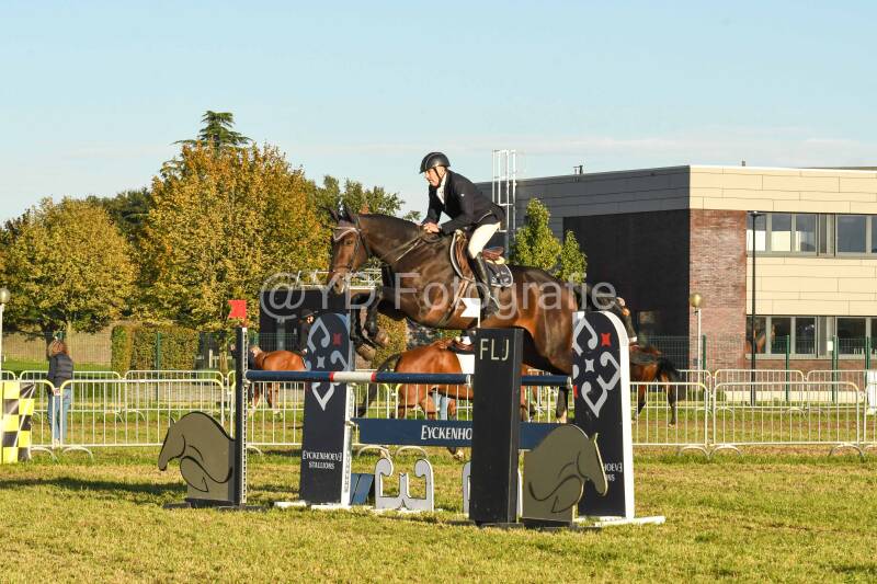 20241006-dsc_6785-standard.jpg