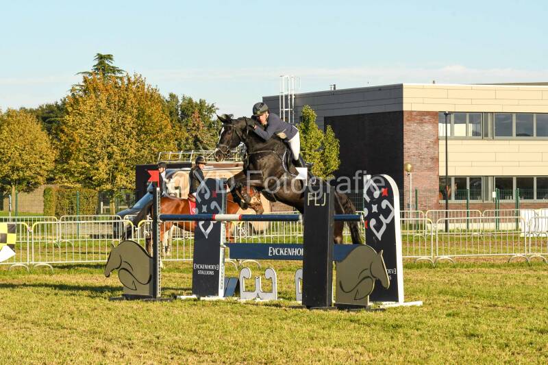 20241006-dsc_6802-standard.jpg