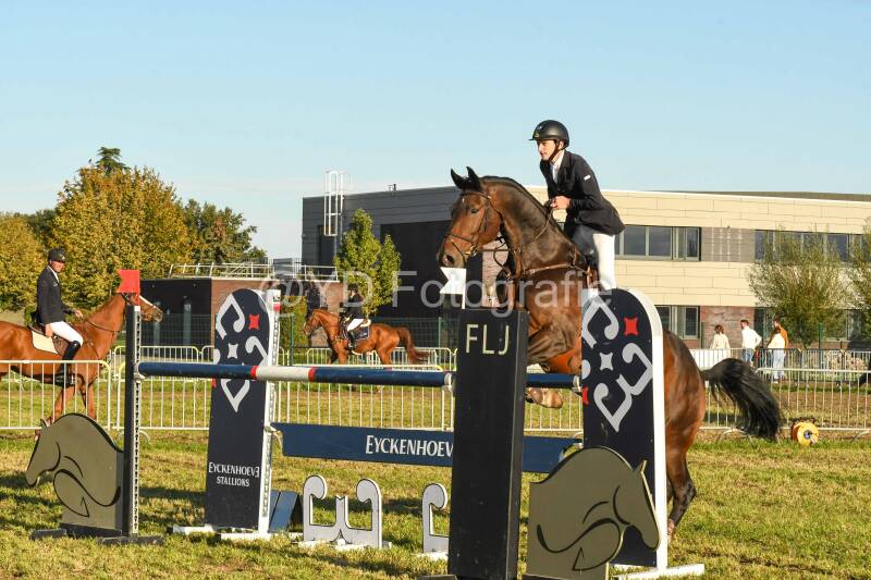20241006-dsc_6819-standard.jpg