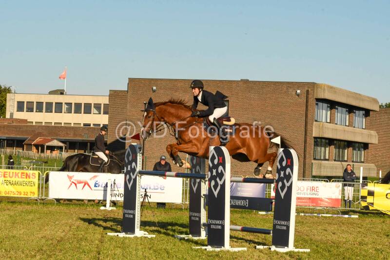 20241006-dsc_6856-standard.jpg