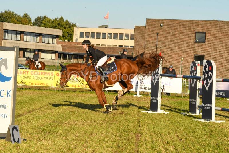 20241006-dsc_6880-standard.jpg